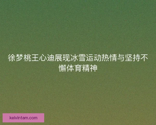 徐梦桃王心迪展现冰雪运动热情与坚持不懈体育精神